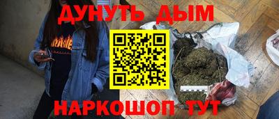 jwh Бердск