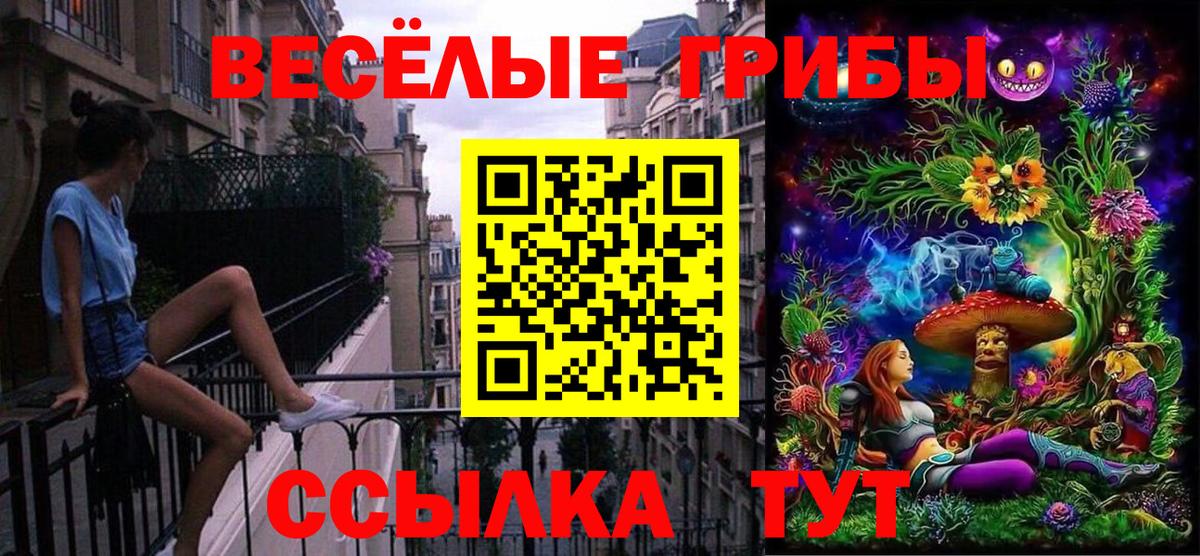 Галлюциногенные грибы Psilocybine cubensis Вичуга