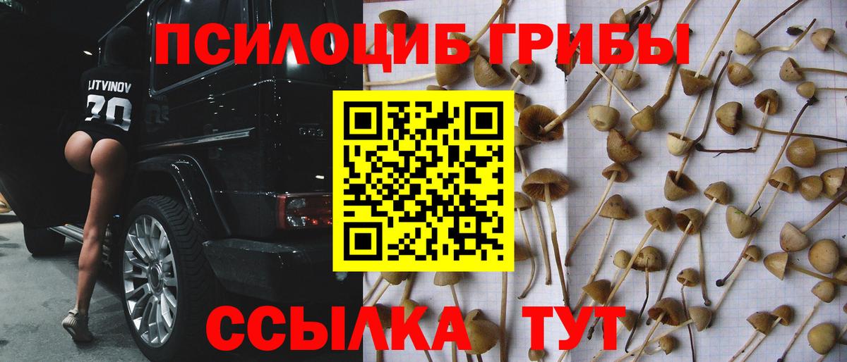 Галлюциногенные грибы ЛСД  Вход с VPN  Вичуга 