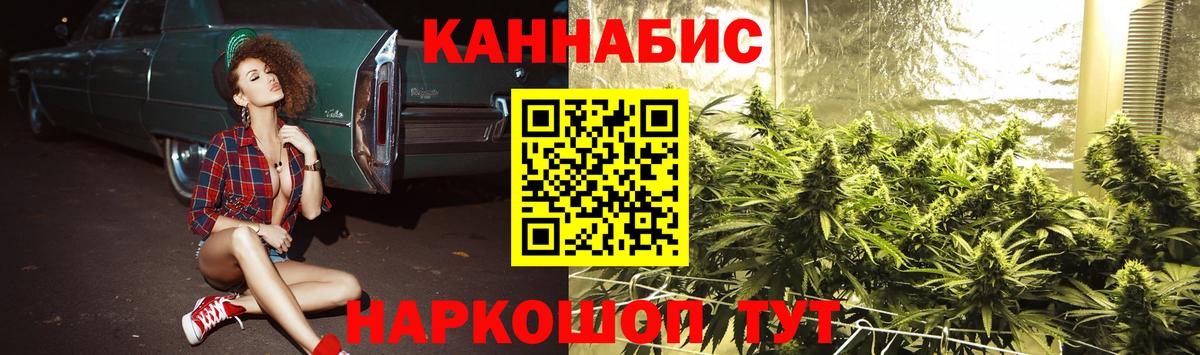 Конопля Amnesia  Вход с VPN  Вичуга  Канабис планчик  Марихуана тримм  Каннабис Bruce Banner 